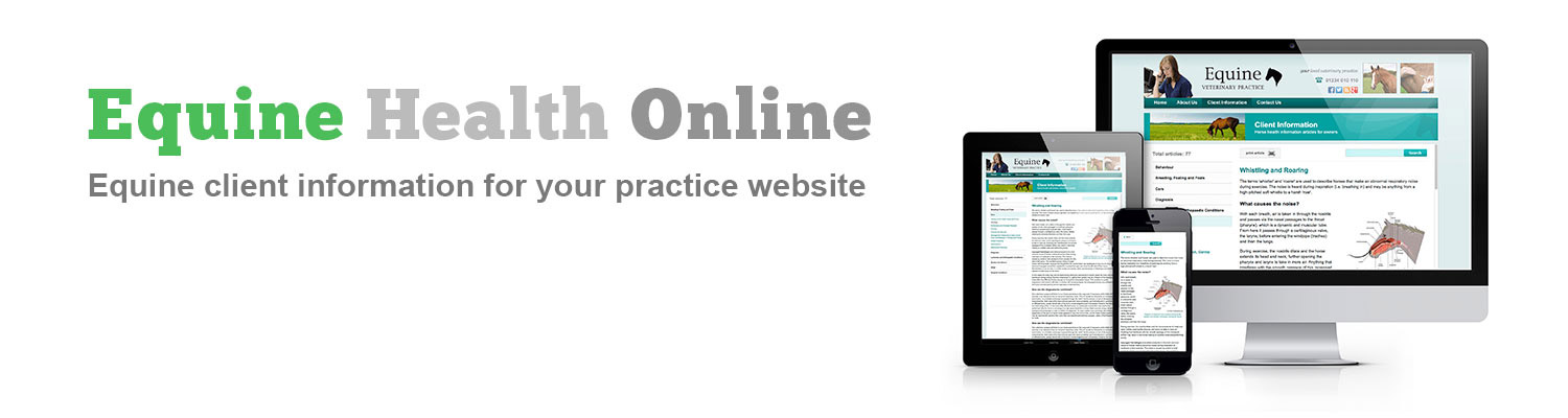 EHO-web-banner-for-DMS-no-button