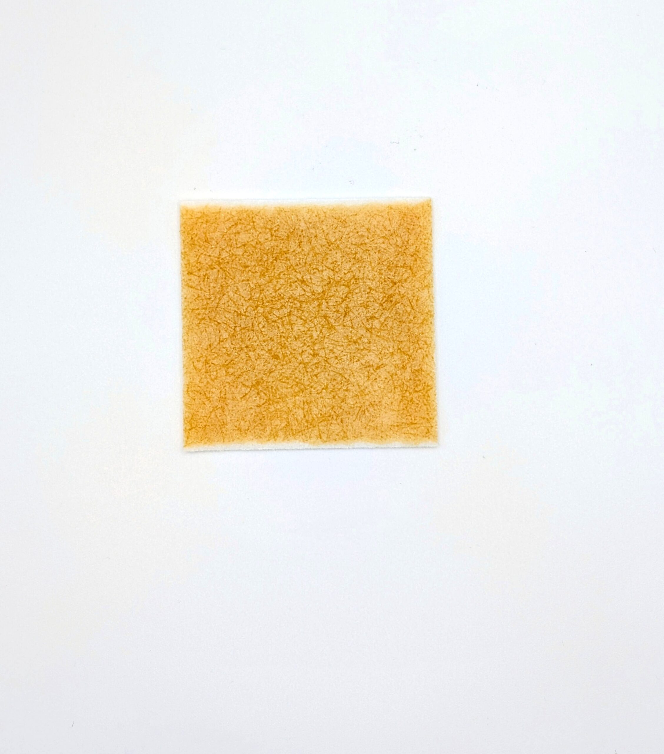 Manuka HDLite - Manuka Honey Fibre Select Super absorbent dressing, 5cm x 5cm (box of 10) - Image 2