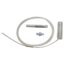 Foley Catheter Incision London Vet Show 2026 - DMS
