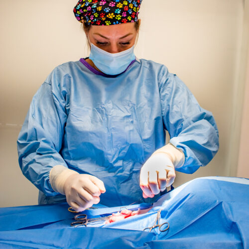Surgical